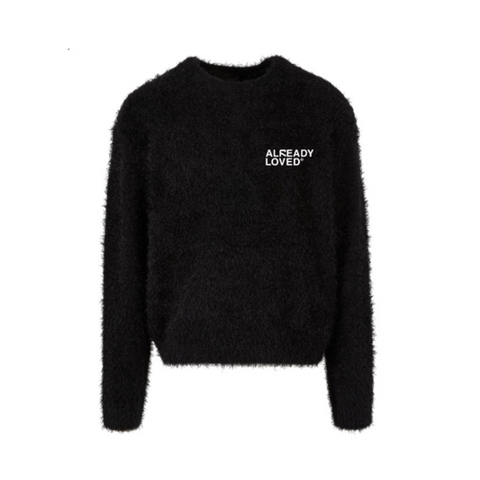 Πουλόβερ με φτερά που έχω ήδη αγαπήσει