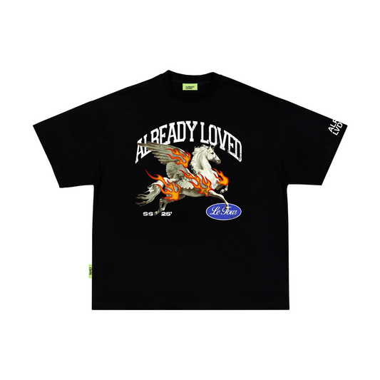 Ndjenja të Dashura Tashmë