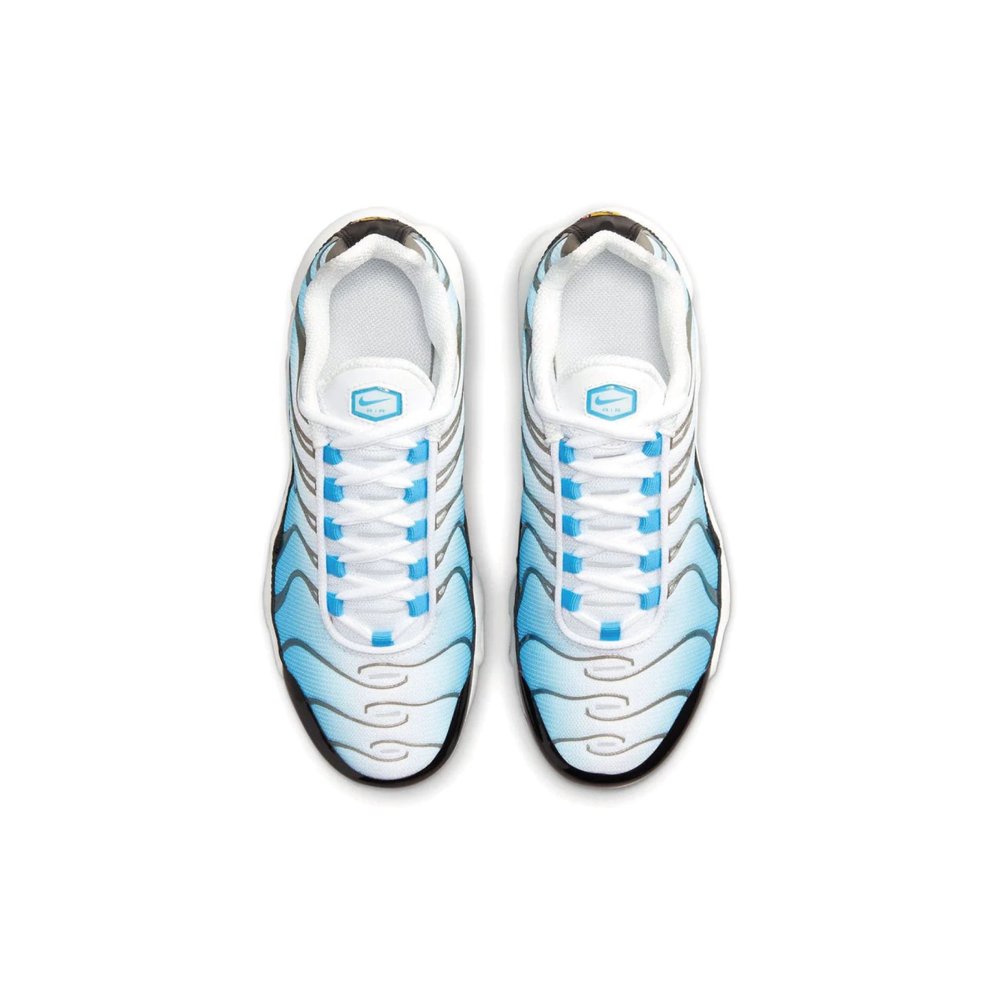 Nike Air Max Plus Baltic Blue - 48 orë