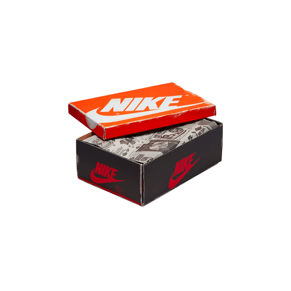 Air Jordan 1 Retro High OG Lost and Found