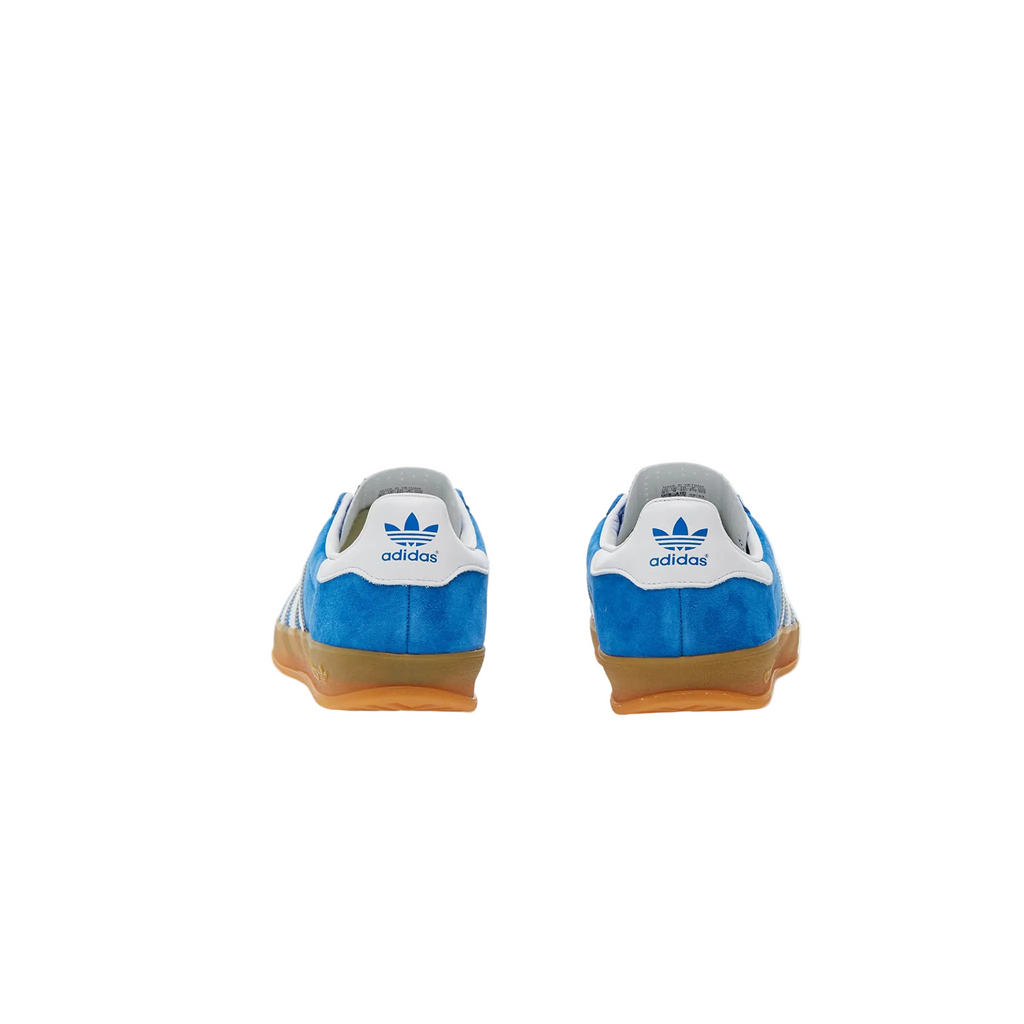 Adidas Gazelle Indoor Blue Bird Cloud White - 48h
