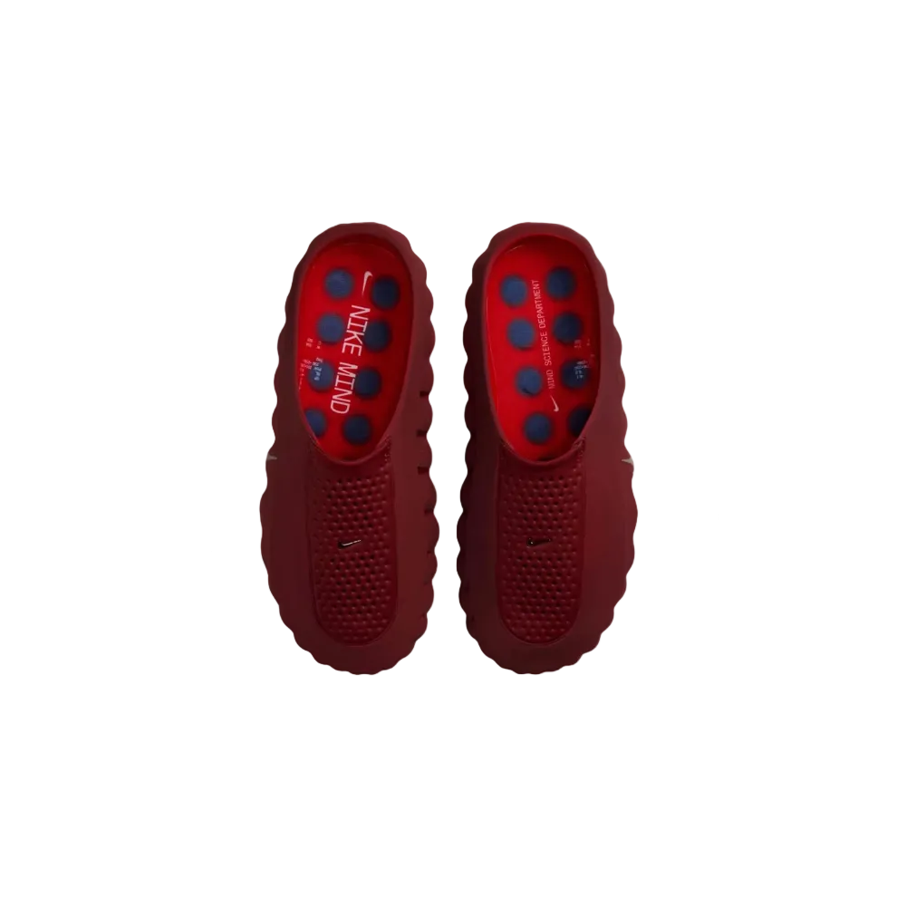 Mind 001 Slide Team Red University Red