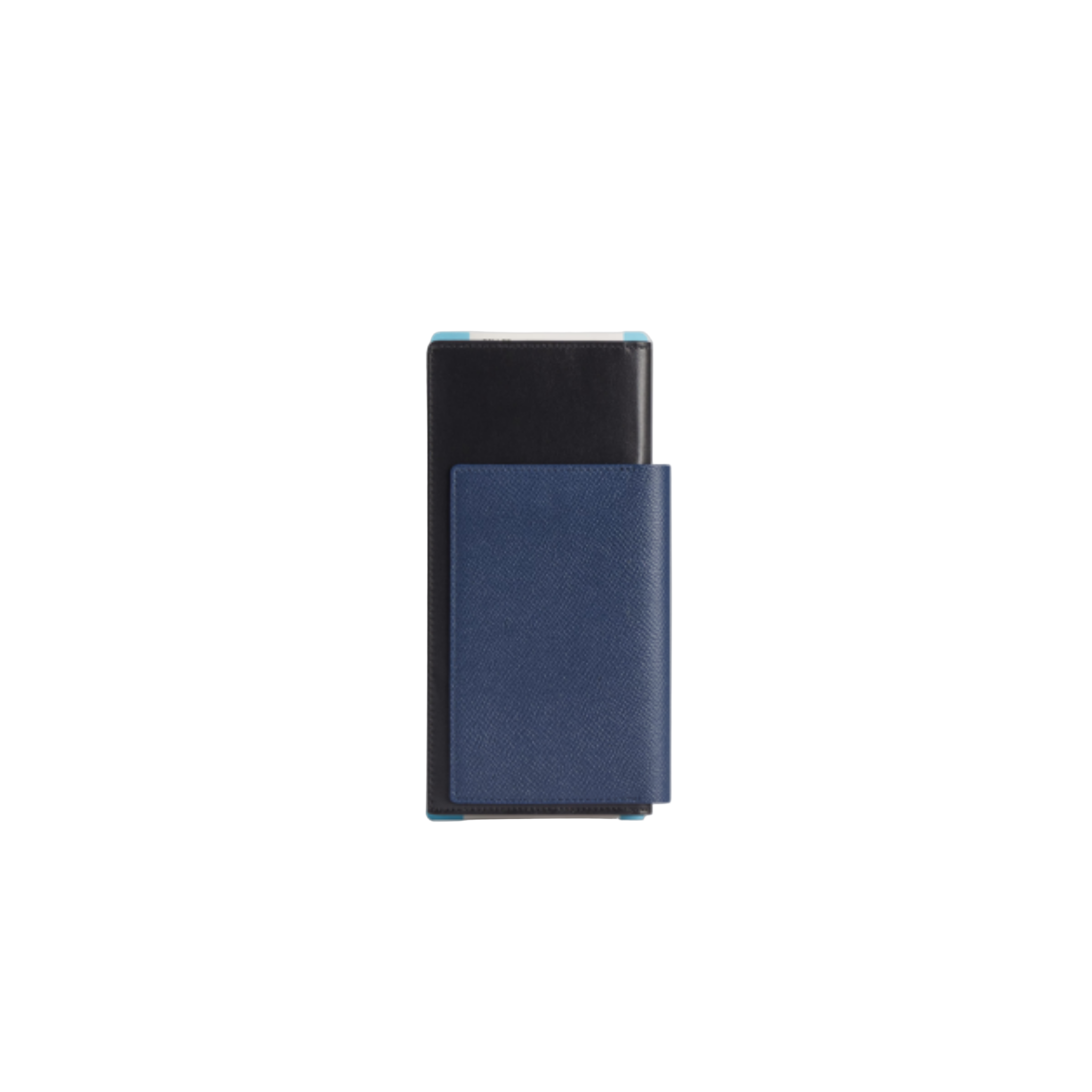 BALENCIAGA Passport Wallet